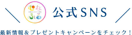 公式SNS