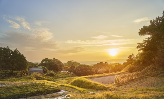 宗像市の夕日風景