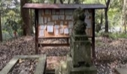 ２