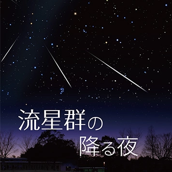 大人向け星空