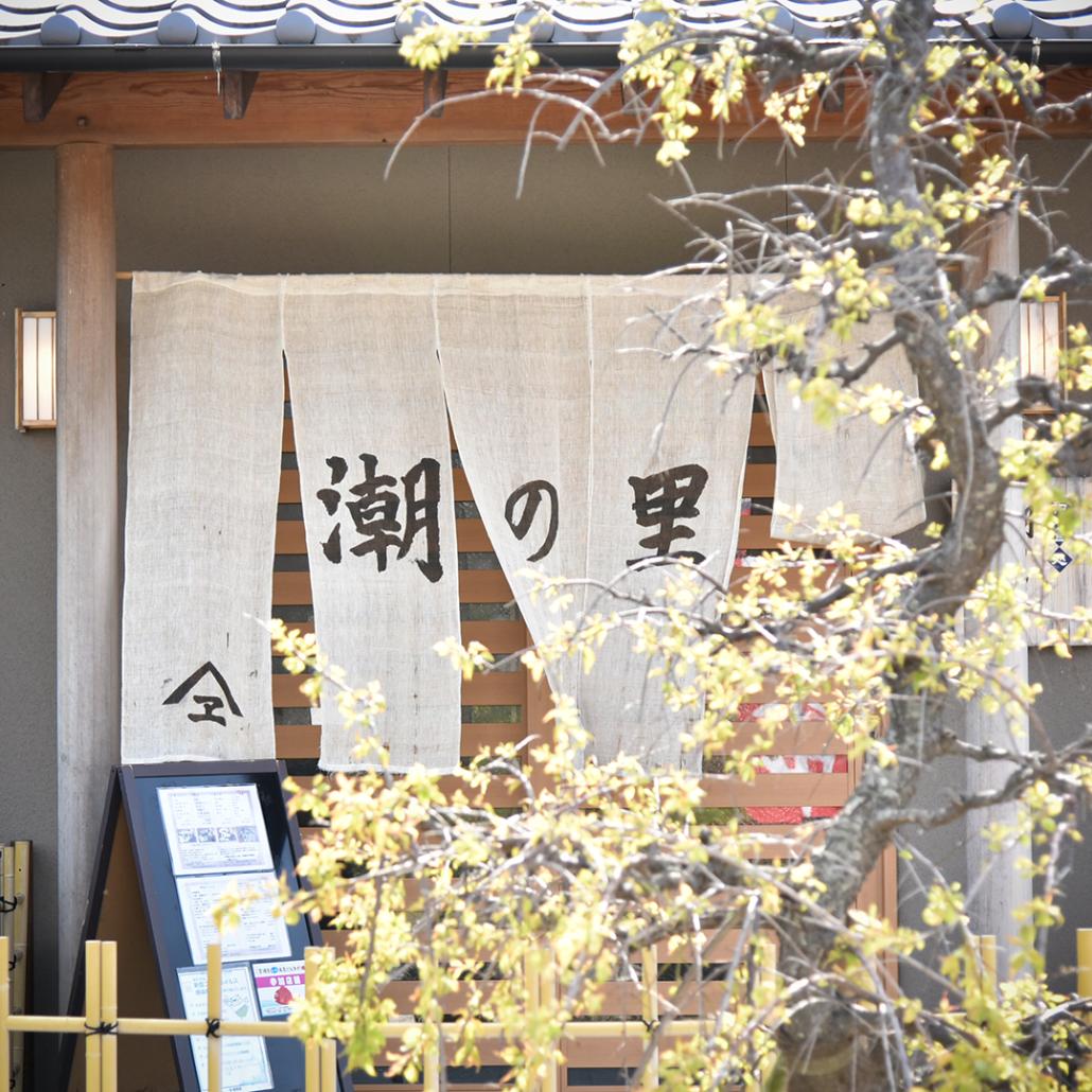 の画像