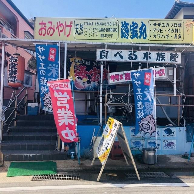 の画像