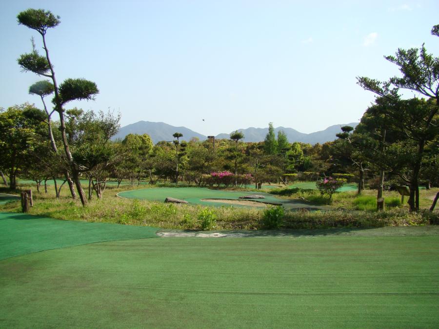 の画像