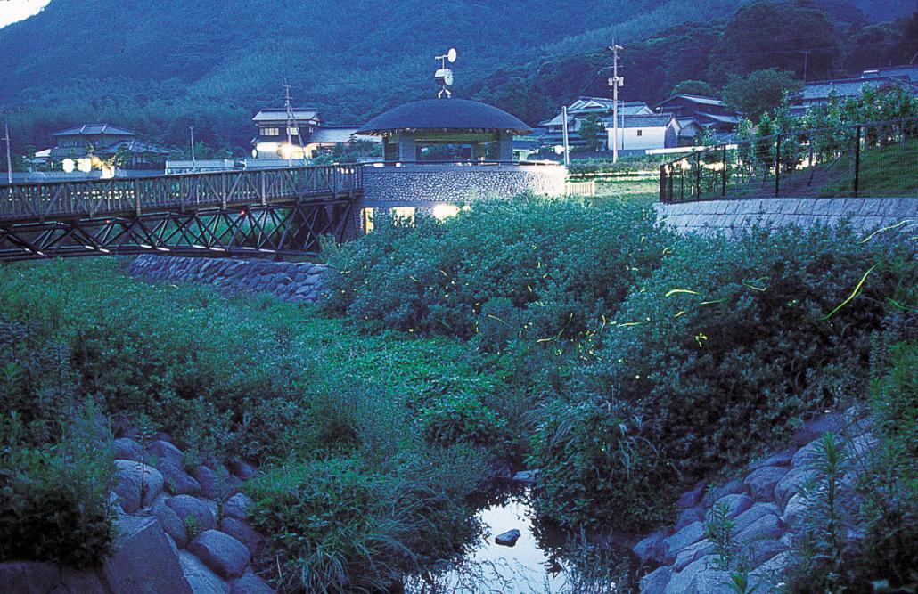 の画像