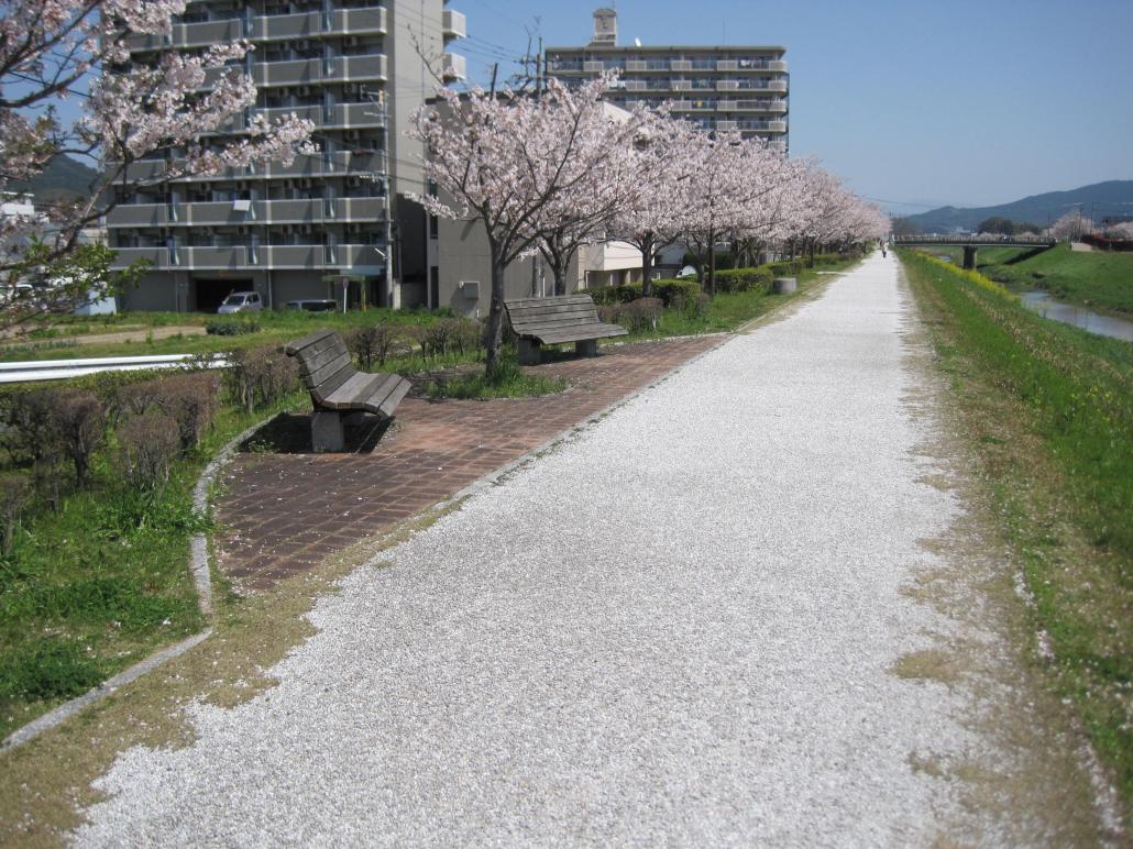 の画像