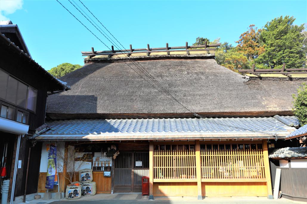 izu1.JPG