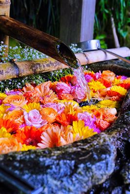 花手水