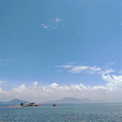 海