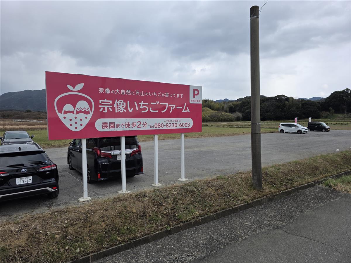 玄海いちご狩り農園での苺狩りの様子の画像