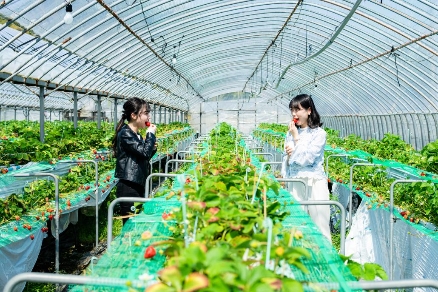 3_2552_2_gennkaiichigogari