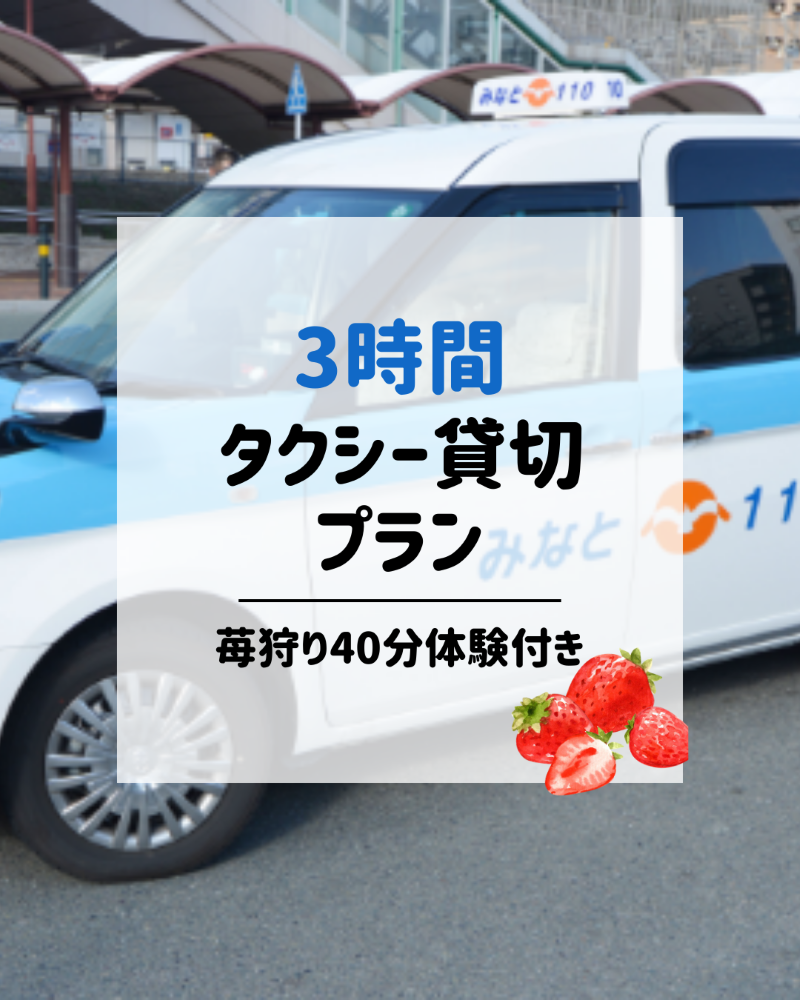 玄海いちご狩り農園での苺狩りの様子の画像