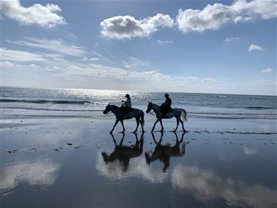 ビーチ乗馬