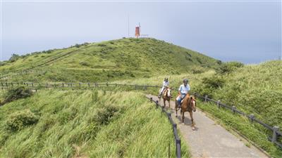 カナディアンキャンプ大島