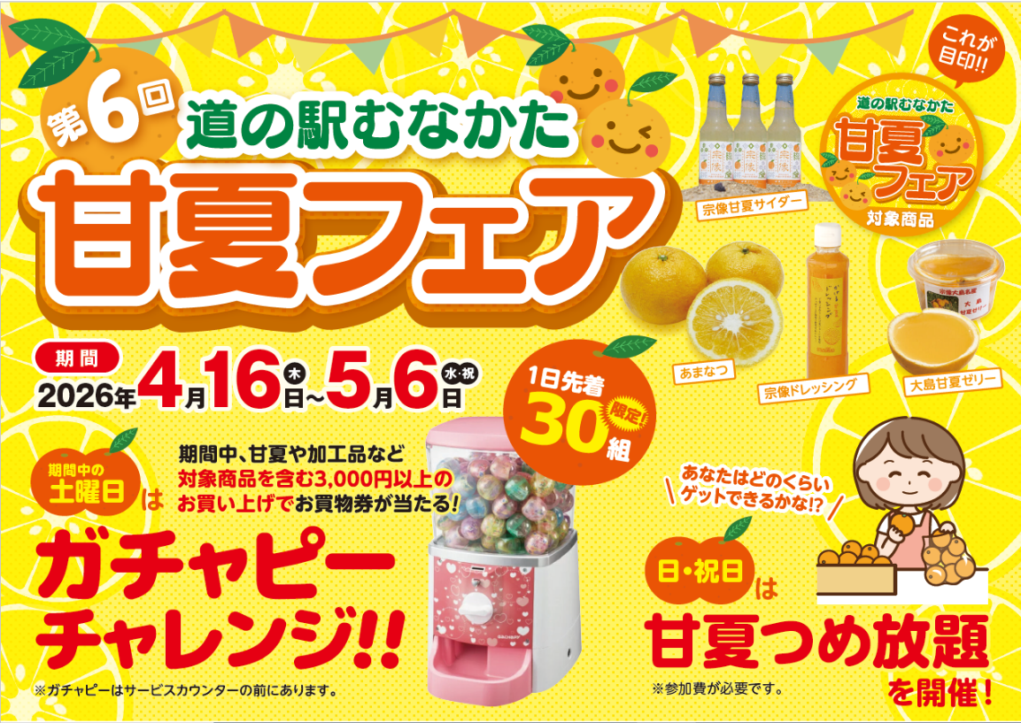 道の駅むなかた甘夏フェアの画像