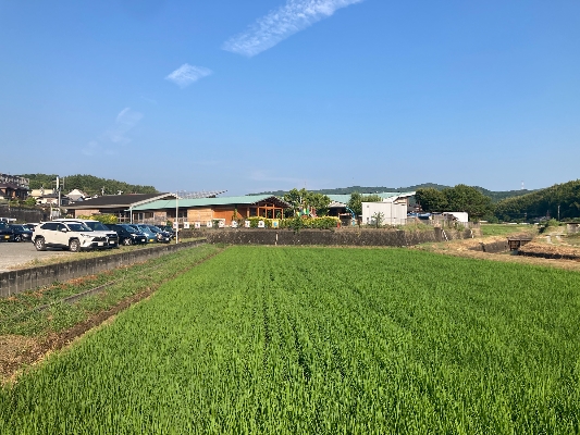 06-田畑に囲まれた自然豊かな場所に建つ園舎