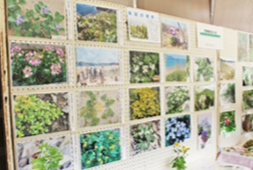 資料展示