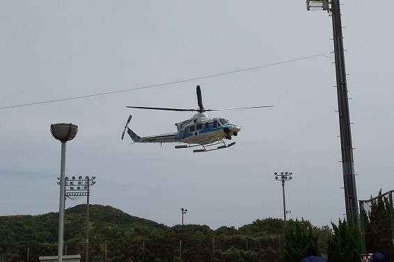 の画像