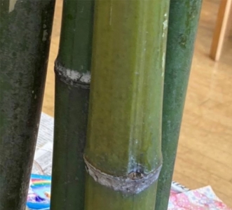 11炙る前