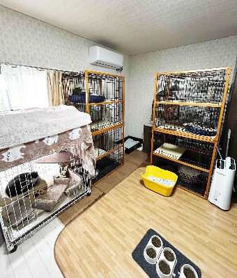 03　保護猫達のお部屋の一部。現在27匹が暮らしています
