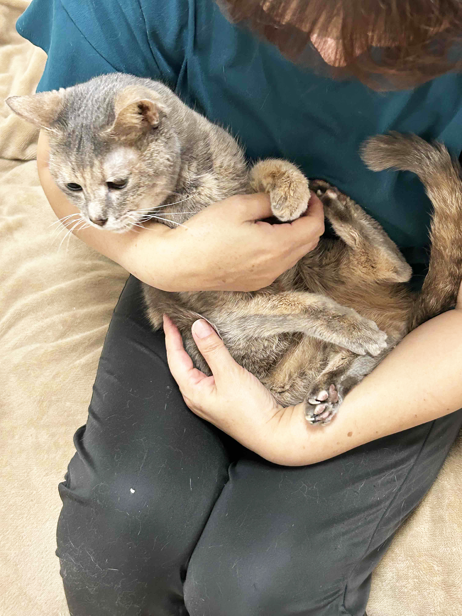 07　みーちゃんは17才。まだまだ食欲旺盛だそう