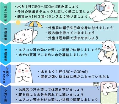 1日のタイムライン