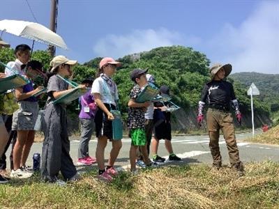 米(2)