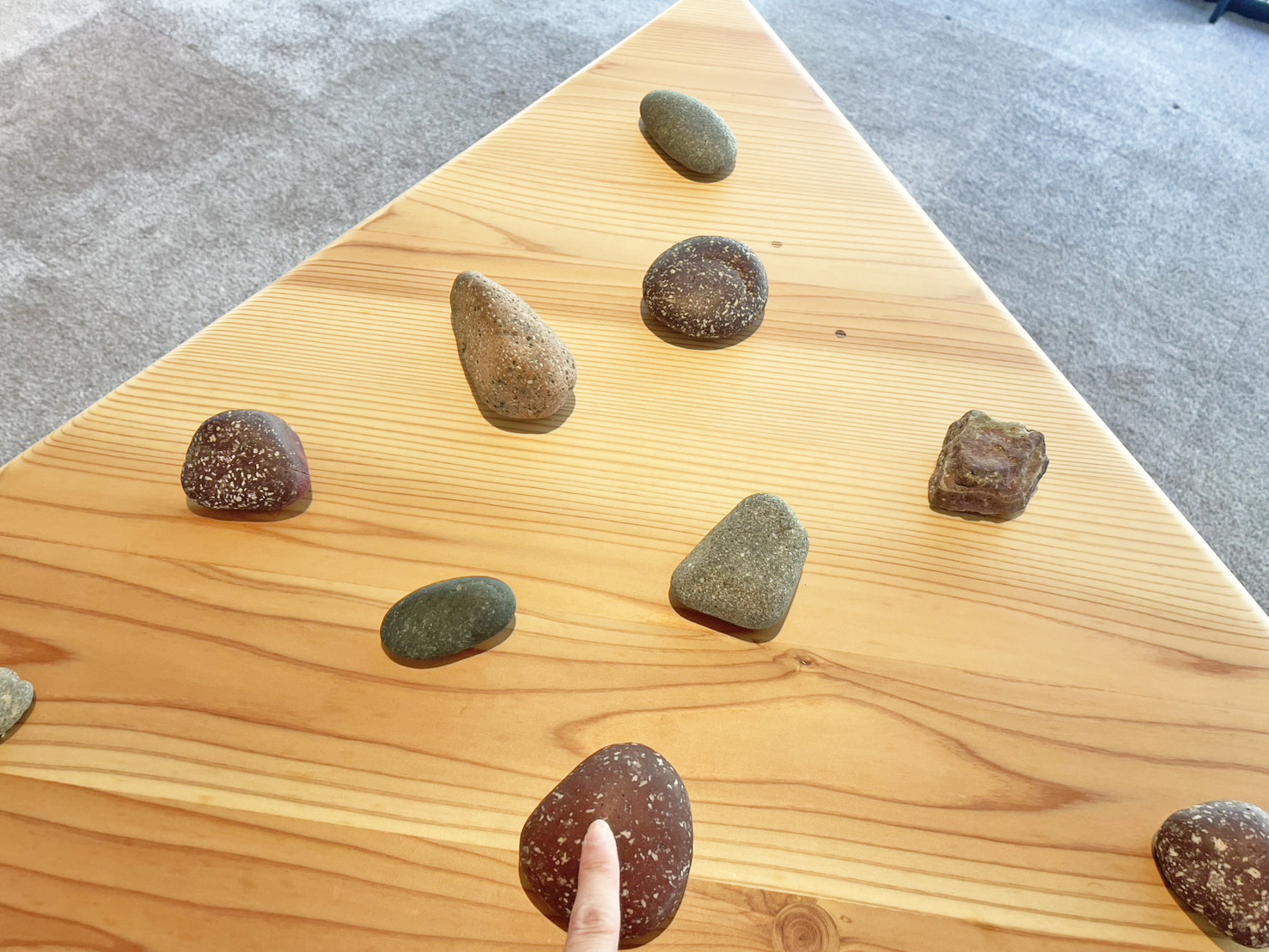 22実際に触れることができます