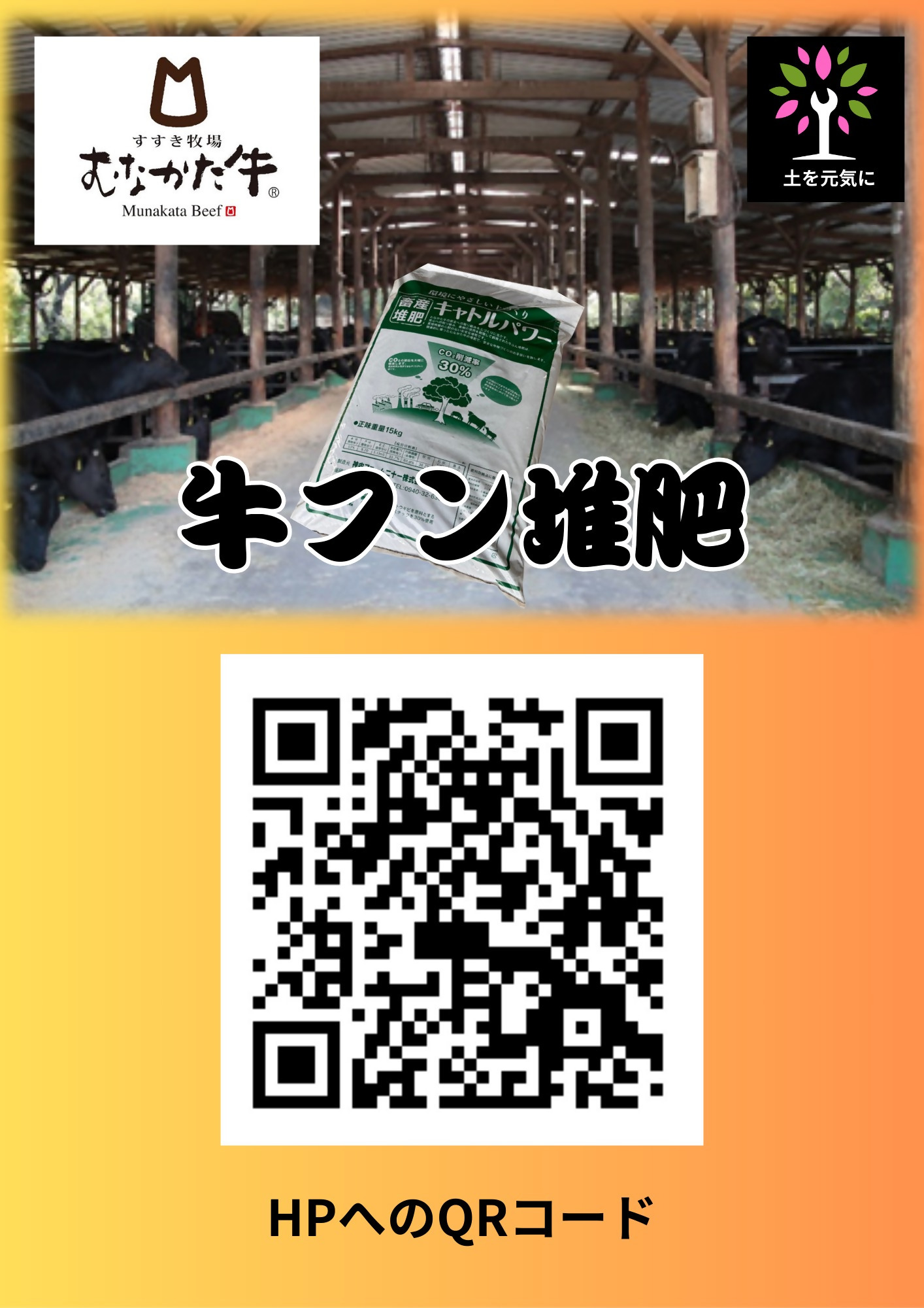 2.ど根性　チラシ