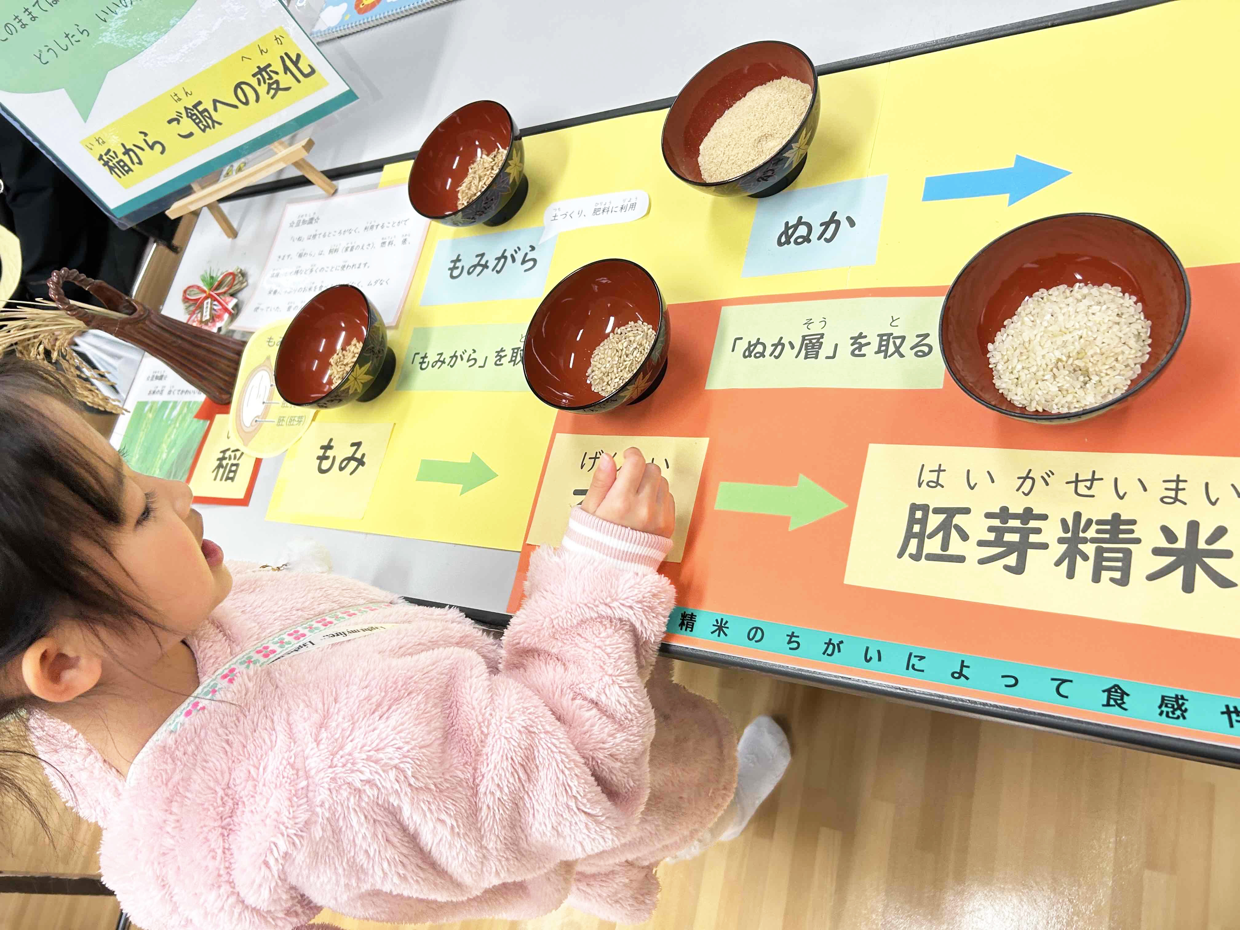 09稲からご飯ができるまでの流れ