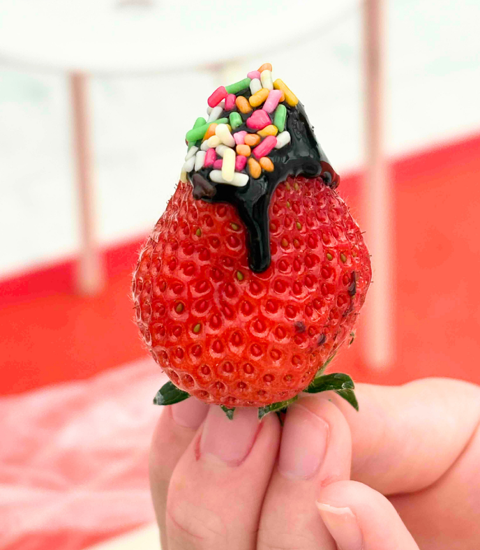 13いろんなトッピングを楽しみました