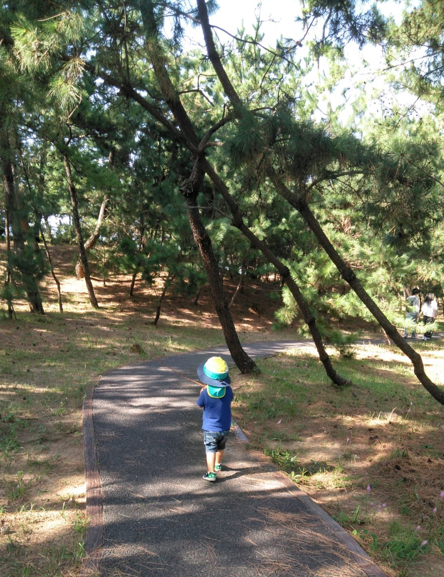 気持ちいい秋散歩！さつき松原遊歩道を歩いてみました！～10月28日レポート～の画像