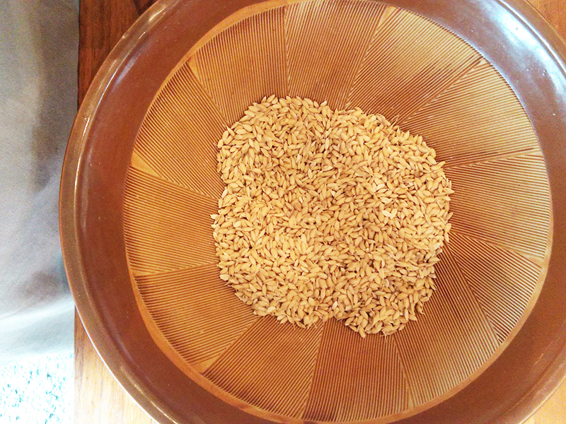 すり鉢に入れた籾をゴムボールですります