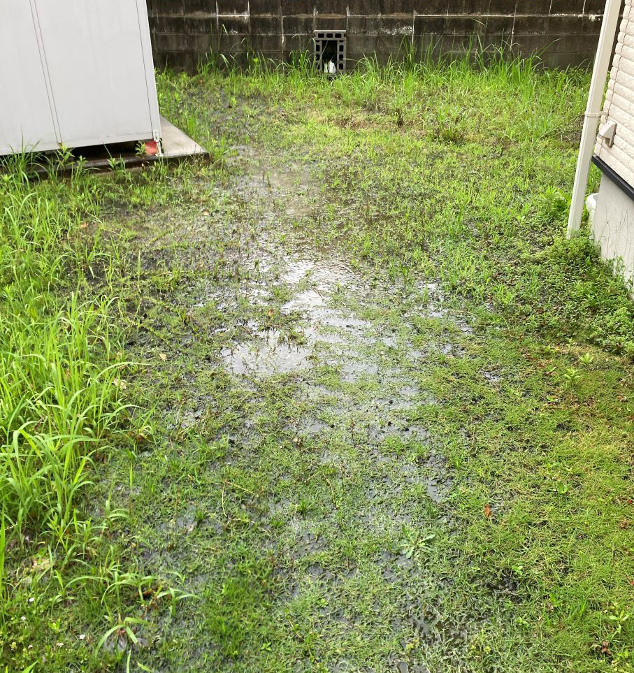 雨上がりの裏庭。すぐに水浸しになってしまいます