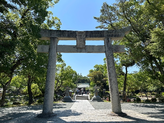 02-新緑シーズンの大社の雰囲気もすごく好きです！
