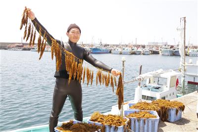 マサエイ水産加工