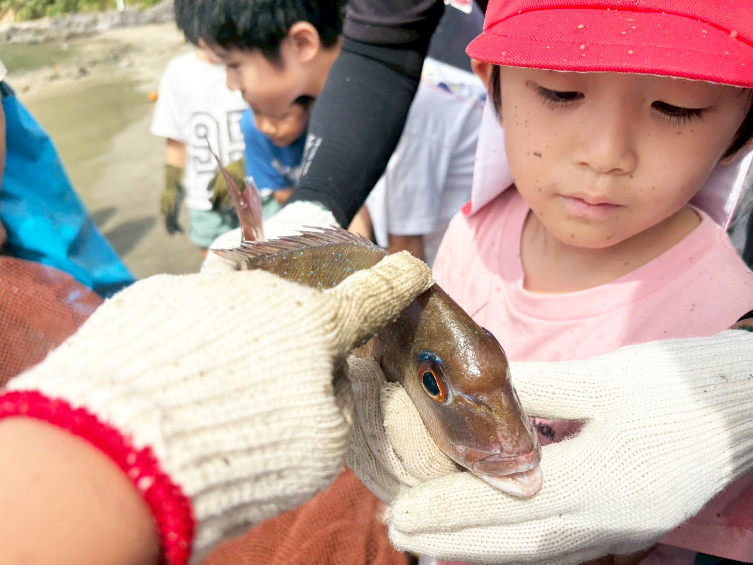 07〇〇〇をしげしげと見つめる次男