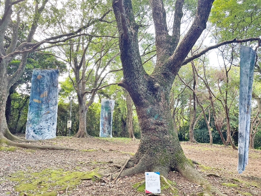 25境内の立派な木々に飾られていました