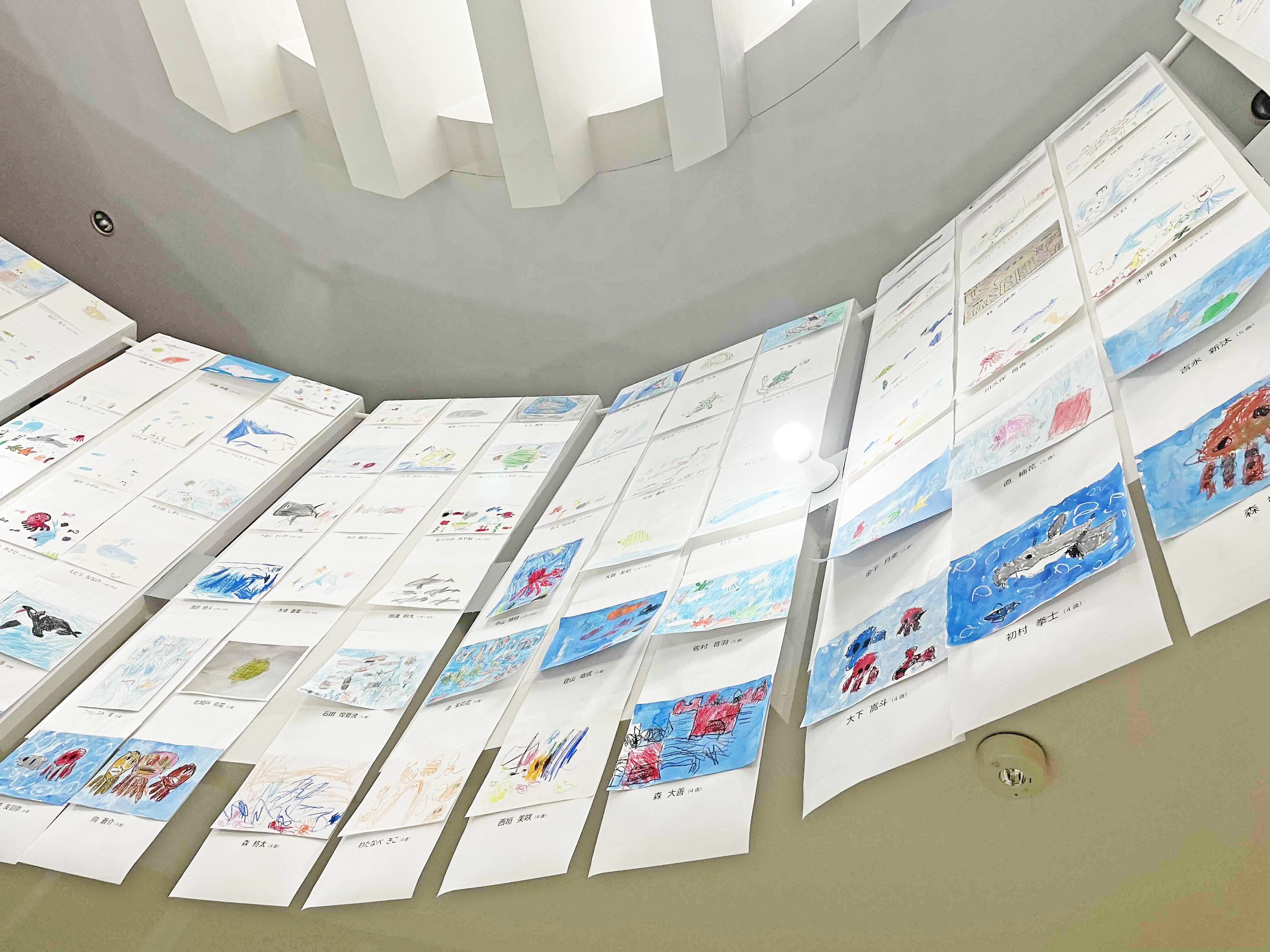 12天井近くまでびっしりと飾られていました