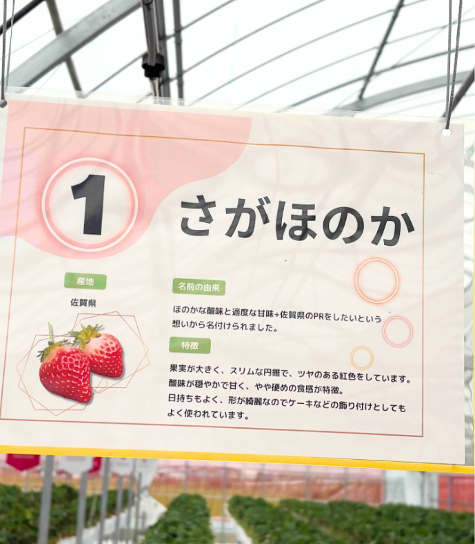 07いちごの説明も分かりやすいです