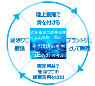 正のスパイラル