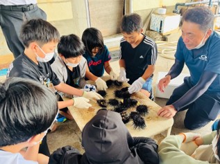 ウニ割体験の様子