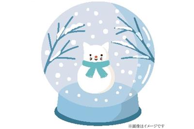 スノードーム（イメージ）