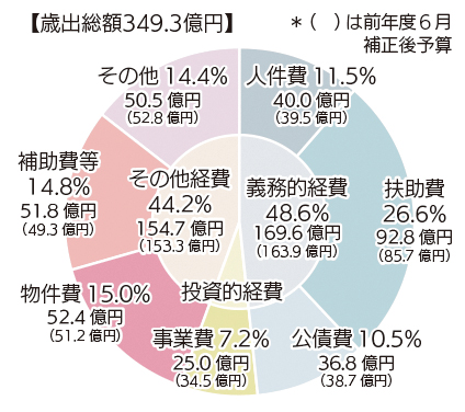 平成31年度　普通会計予算（歳出）円グラフ